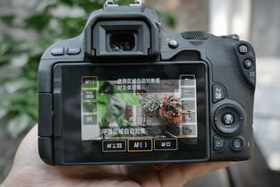 最mini的单反相机2400万像素佳能EOS 200D评测 迷你机身中的影像潜力